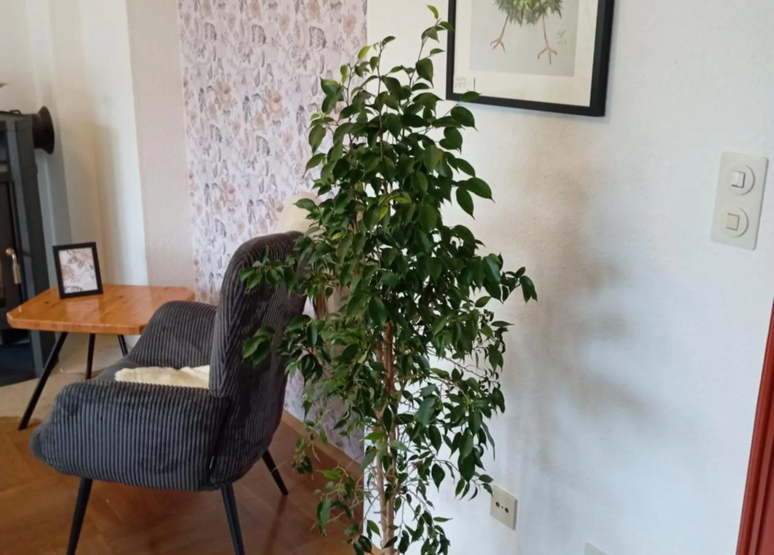 Wohnung Im Gruenen In Messenaehe Meerbusch